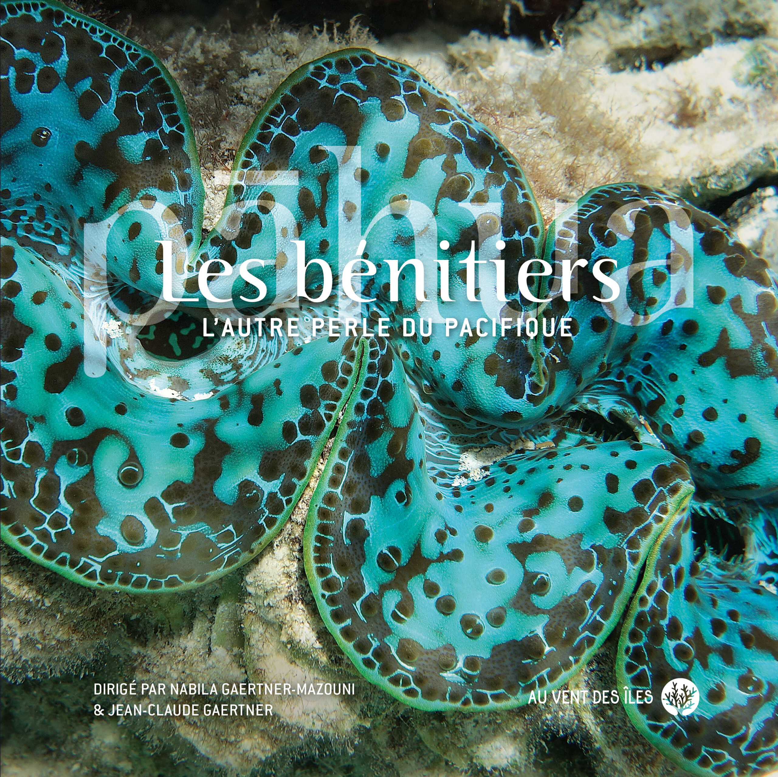 Couverture - Les bénitiers FR