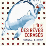 Couverture - L'île des rêves écrasés