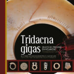Couverture - Tridacna gigas
