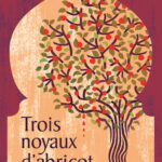 Couverture - Trois noyaux d'abricot