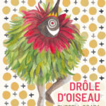 Couverture - Drôle d'oiseau