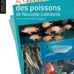 Guide des poissons de Nouvelle-Calédonie